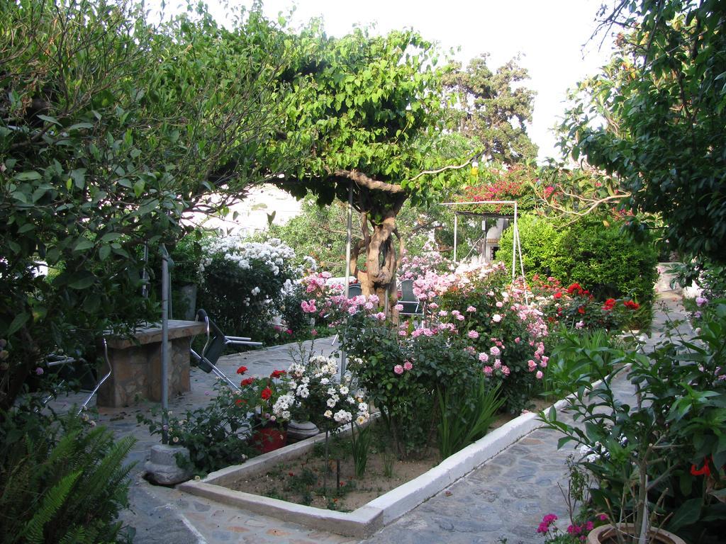 Anna Studios Katápola Extérieur photo